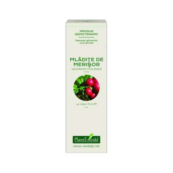Extract concentrat din mladite de merisor, 15ml, PlantExtrakt